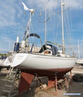 ashore-qtr-ss
